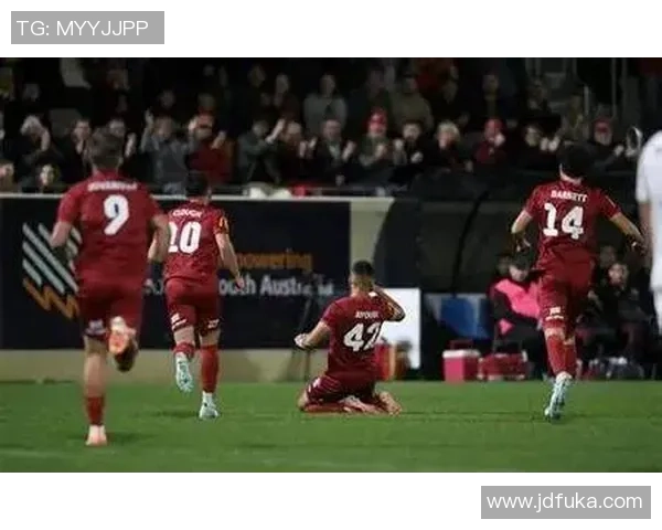 菜切斯特对布赖顿比赛前瞻及比分预测分析详解